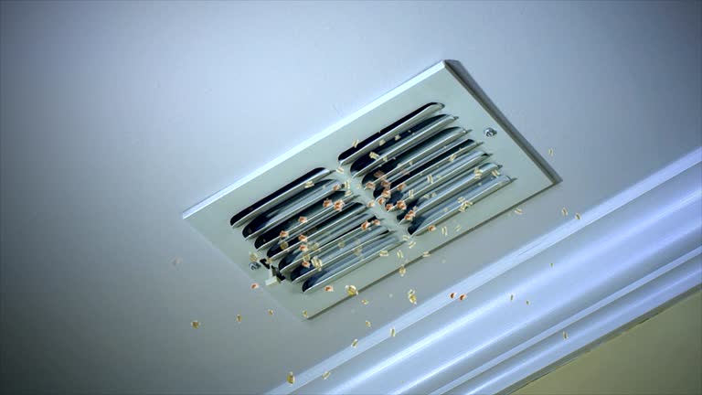 Best Air Duct Cleaning Cost  in Harris Hill, NY