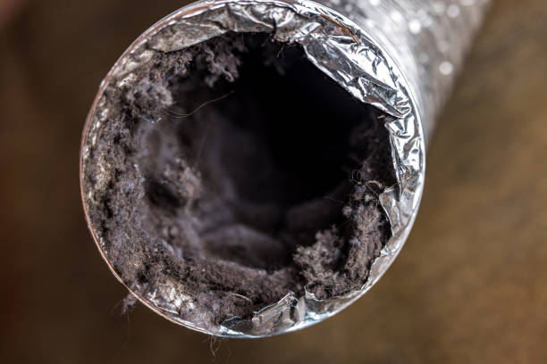 Best Air Duct Cleaning Company Near Me  in Harris Hill, NY