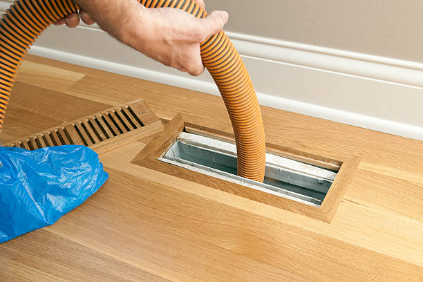 Best Local Air Duct Cleaning Services  in Harris Hill, NY