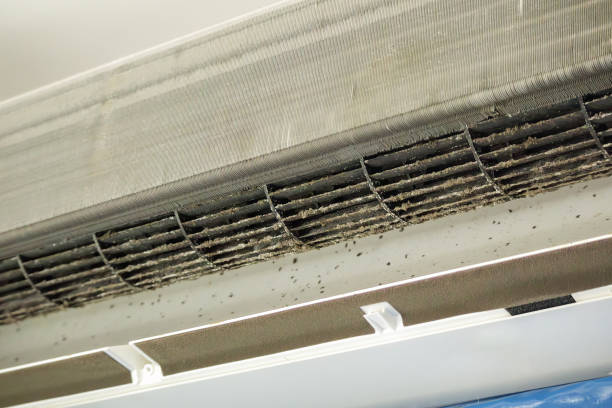 Best HVAC Duct Inspection Services  in Harris Hill, NY