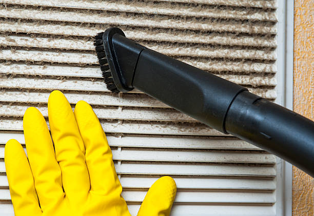 Best Dryer Vent Cleaning Services  in Harris Hill, NY